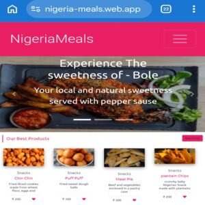 Nigerian meals project